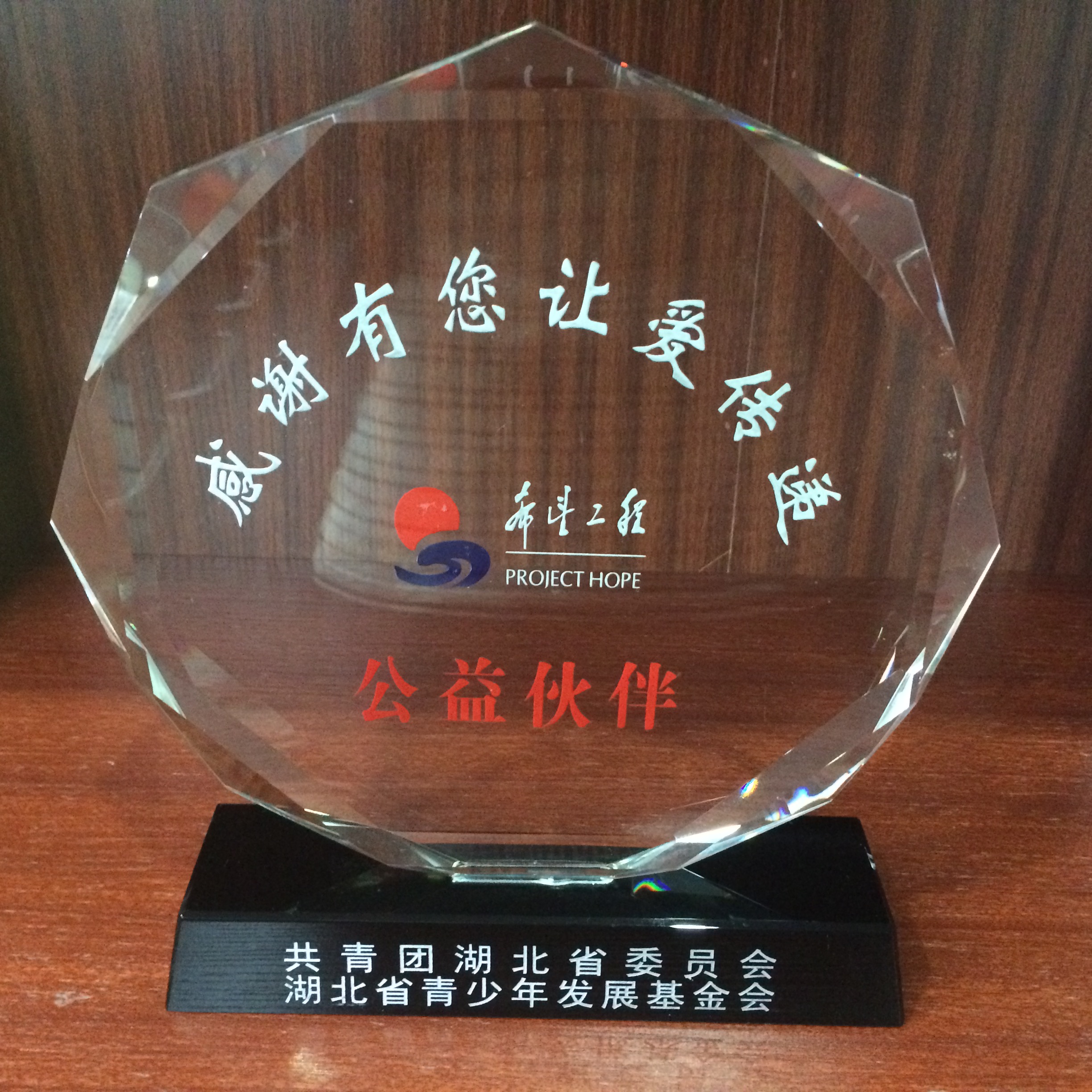 希望工程公益伙伴獎