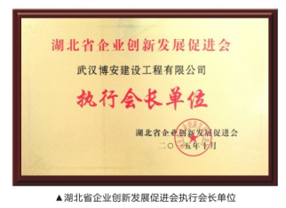 湖北省企業(yè)創(chuàng)新發(fā)展促進會執(zhí)行會長單位