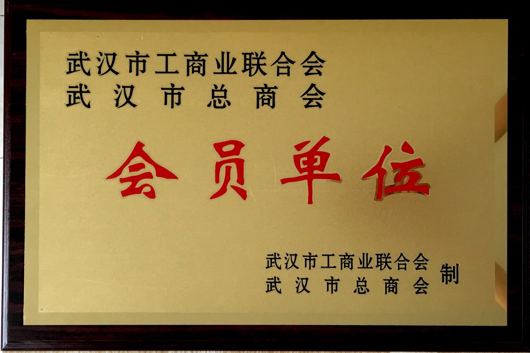 武漢市工商聯(lián)合會(huì)、武漢市總商會(huì)會(huì)員單位